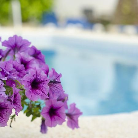 アルビールLa Crisalida Retreatsアパートメント エクステリア 写真